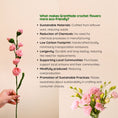 Load image into Gallery viewer, Happy Pair Crochet Flower set of 2 - Granmade