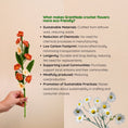 Load image into Gallery viewer, Crochet Daisy Flower - Granmade
