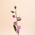 Load image into Gallery viewer, Happy Pair Crochet Flower set of 2 - Granmade