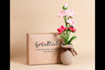 Load image into Gallery viewer, Crochet Orchid Flower Pot