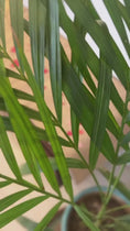 Load and play video in Gallery viewer, Dil Jute Table Runner