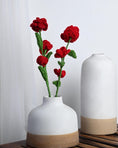 Load image into Gallery viewer, Say it with a Rose! - Granmade
