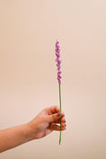 Load image into Gallery viewer, Lavender Blue dilly-dilly - Granmade
