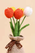 Load image into Gallery viewer, Crochet Tulip Flower Pot
