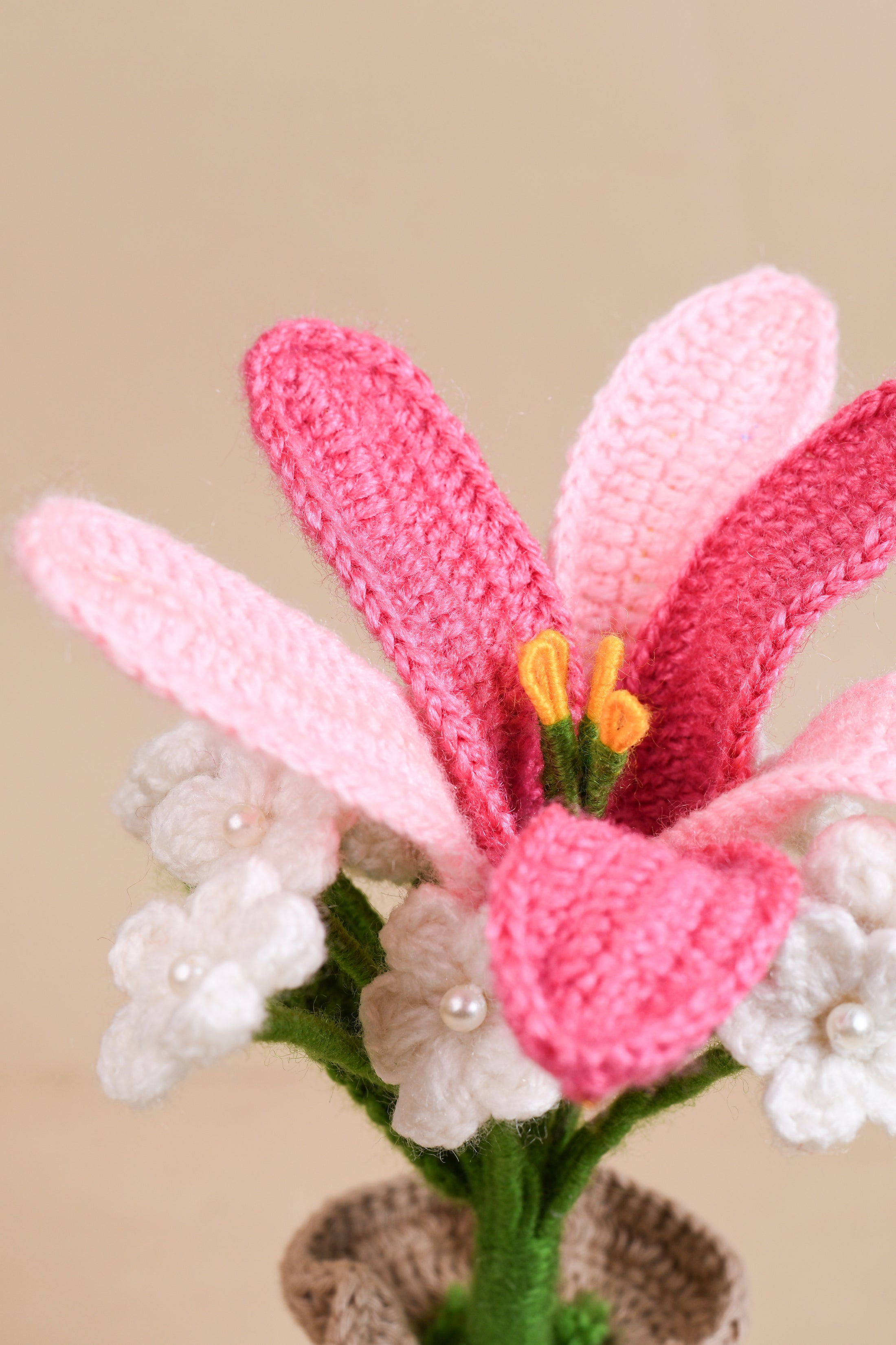 Crochet Lily & Daisy Flower Pot