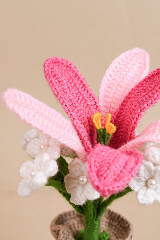 Crochet Lily & Daisy Flower Pot