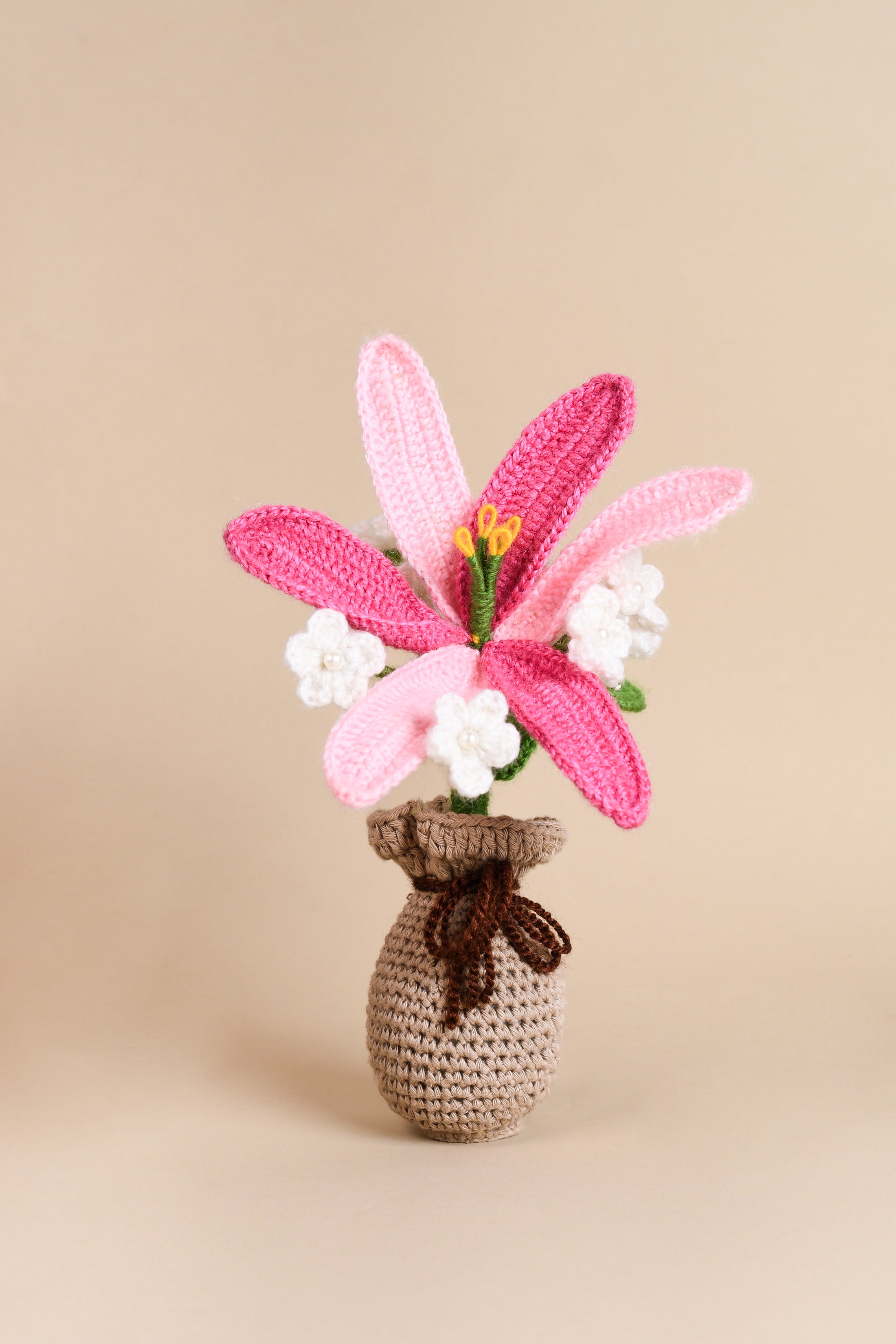 Crochet Lily & Daisy Flower Pot